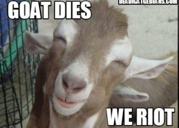 Goat Dies, We Riot | Walking Dead