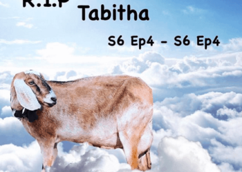 RIP Tabitha the Goat MEME