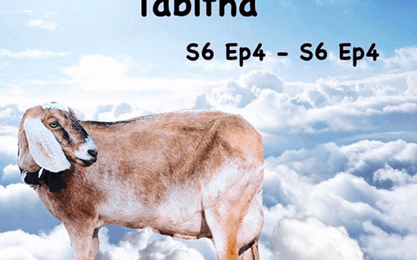 RIP Tabitha the Goat MEME