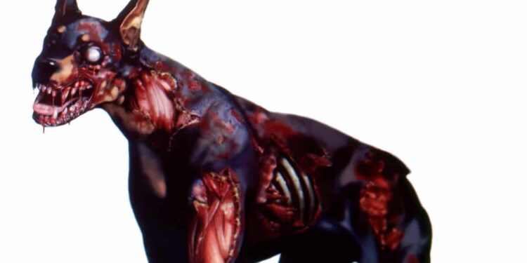 Resident Evil Zombie Dog