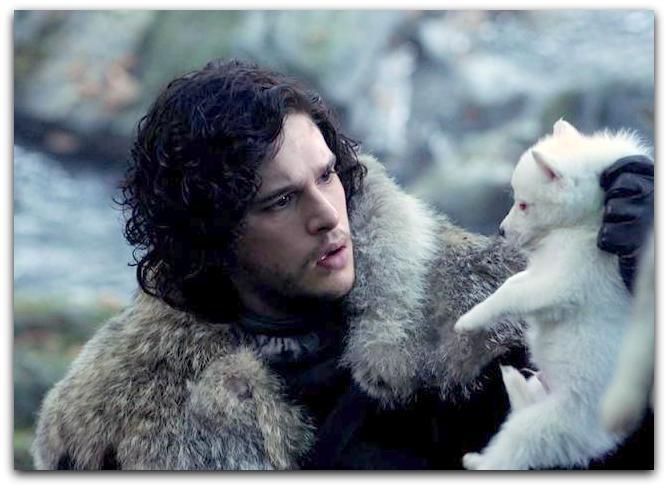 Jon Snow Baby Dire Wolf