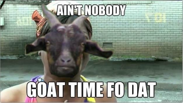 aint nobody goat time for that