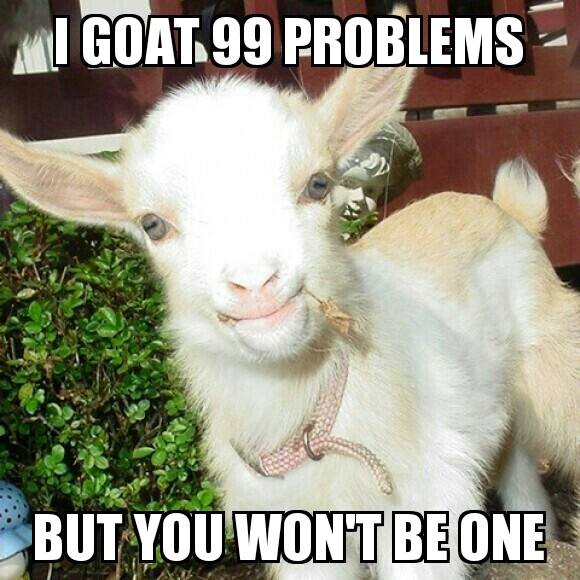 i goat 99 problems meme
