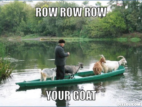 row your goat