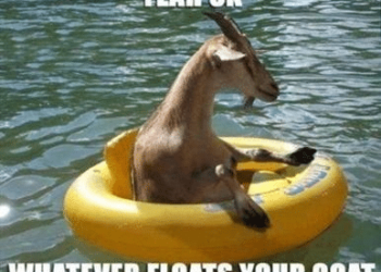 whatever floats your goat meme