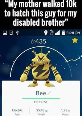 Mother Walked Pokemon Go 10k steps to hatch for disabled brother Meme