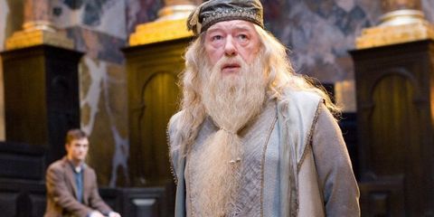 Dumbledore-Trivia